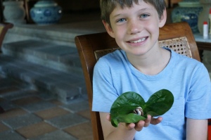 Fletcher with a snail he found in our yard